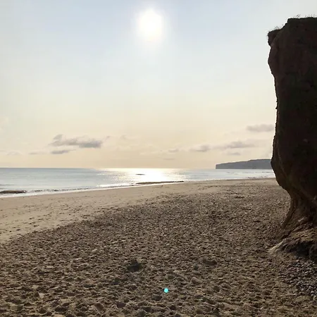 Peasholm Place - Hot Tub Hire At Additional Cost Available - Overlooking Peasholm Park - Near And North Bay Amenities Скарборо