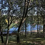 Peasholm Place - Hot Tub Hire At Additional Cost Available - Overlooking Peasholm Park - Near And North Bay Amenities With 2 Spaces On Driveway