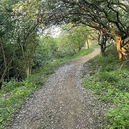 度假居 Peasholm Place - Hot Tub Hire At Additional Cost Available - Overlooking Peasholm Park - Near And North Bay Amenities 斯卡伯勒