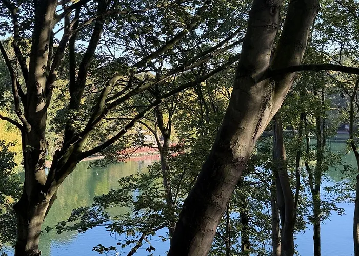 Hébergement de vacances Peasholm Place - Hot Tub Hire At Additional Cost Available - Overlooking Peasholm Park - Near And North Bay Amenities With 2 Spaces On Driveway Scarborough