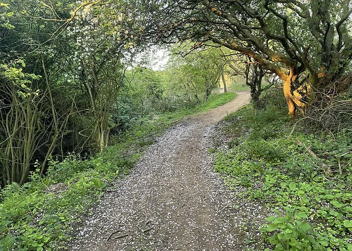 Hébergement de vacances Peasholm Place - Hot Tub Hire At Additional Cost Available - Overlooking Peasholm Park - Near And North Bay Amenities With 2 Spaces On Driveway Scarborough