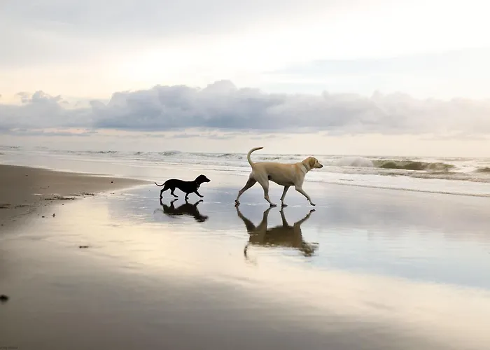 Peasholm Place - Hot Tub Hire At Additional Cost Available - Overlooking Peasholm Park - Near And North Bay Amenities With 2 Spaces On Driveway Hébergement de vacances Scarborough