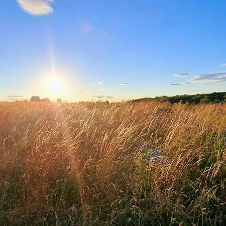 Peasholm Place - Hot Tub Hire At Additional Cost Available - Overlooking Peasholm Park - Near And North Bay Amenities *